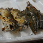滋賀県南郷水産センター - 