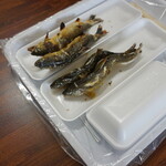 滋賀県南郷水産センター - 