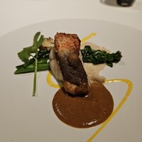 ブレストンコート ユカワタン - 