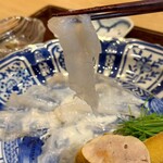くずし 之助 - お造り　舞阪產放血神経〆　天然虎河豚　塩ぽん酢　塩酢橘