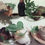 デルフィーナ - 