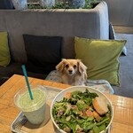 GREEN BROTHERS 麻布十番店 - 