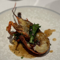 Wakana ～和奏～ - 