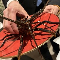 Wakana ～和奏～ - 