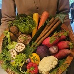 レフェルヴェソンス - 