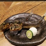 炭火焼きリリー 新宿店 - 