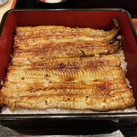うなぎ割烹 白金台 まつ本 - 