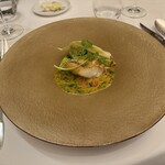 ポンドールイノ - 