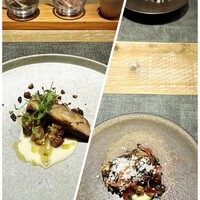 Gris - 