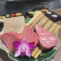 宮崎尾崎牛 鉄板焼き 吟 梅田ヒルトンプラザウエスト - 左から…ヒレ、ヒレ、ロース