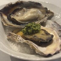 舵 - 