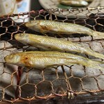 285560651 - 本もろこ炭焼き