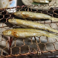 山ばな平八茶屋 - 本もろこ炭焼き