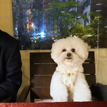 リストランテ ピッツェリア ジャンカルロ トウキョウ - 東京タワーが見えるテラス