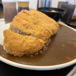 わ楽 - カツカレー　横から