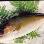 居酒屋 丸奄 - かんぱち造り