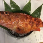 居酒屋 丸奄 - カサゴ造り