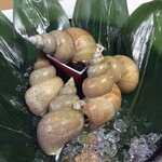 居酒屋 丸奄 - ばい貝造り