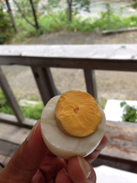 滝ノ上温泉　滝峡荘 - 雫石町その他（その他）の写真