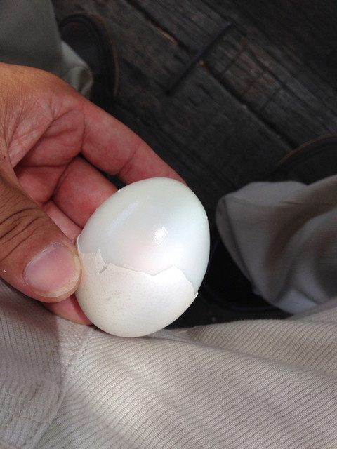 滝ノ上温泉　滝峡荘 - 雫石町その他（その他）の写真