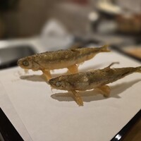 天七 - 