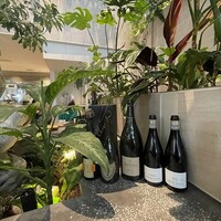 熱香森 - 