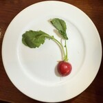 ル ヴェール フレ - 葉つきのラディッシュ♪可愛いのでソロ写真を^ ^