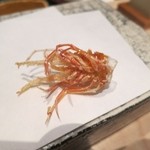 にい留 - 車海老のお頭。