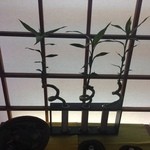 御食事処 朱鷺 - レジ横の変わった木々　なんだろう