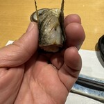 鮨 権左衛門 - にぎり手で違うなー。脂、美味しい。