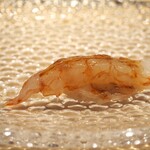 北新地 すし通 - ボタン海老 昆布〆