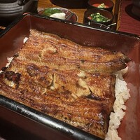 新宿うな鐵 はなれ - 
