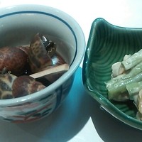 宿木 - 付け出しのバイ貝