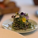 ナベノ-イズム - Le Filet de Boeuf 北海道産牛フィレ肉 人参のピュレと魚沼産大黒舞茸『真』ケシの実をまとった素揚げ ソースヴァン・ルージュミロワール『江戸前ハープ』のマイクロハープサラダを添えて