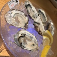MAIMON GINZA - 
