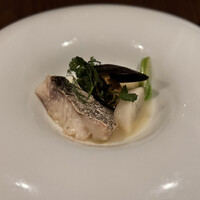 TOOTH TOOTH TOKYO - 
