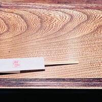 鳥茂 - 