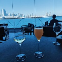 International cuisine subzero - 