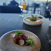 International cuisine subzero - 