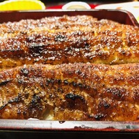 炭焼 うな富士 有楽町店 - 