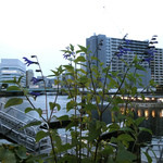 T.Y.HARBOR - 日が暮れて参りました