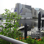 T.Y.HARBOR - 天王洲の運河沿い