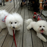 T.Y.HARBOR - デッキでお友達に会いました