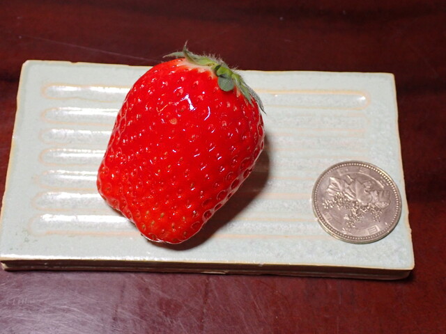 おざわ農園 鏡石（福島・須賀川）- 地元産直販売と季節メニュー