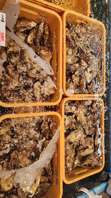 魚介類 濱喜（ギョカイルイハマキ） - 南気仙沼（その他）の写真