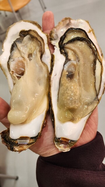 魚介類 濱喜（ギョカイルイハマキ） - 南気仙沼（その他）の写真