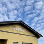 秋桜コスモス - 