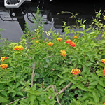 T.Y.HARBOR - 〜ならではの時間