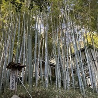 むくの実亭 - 