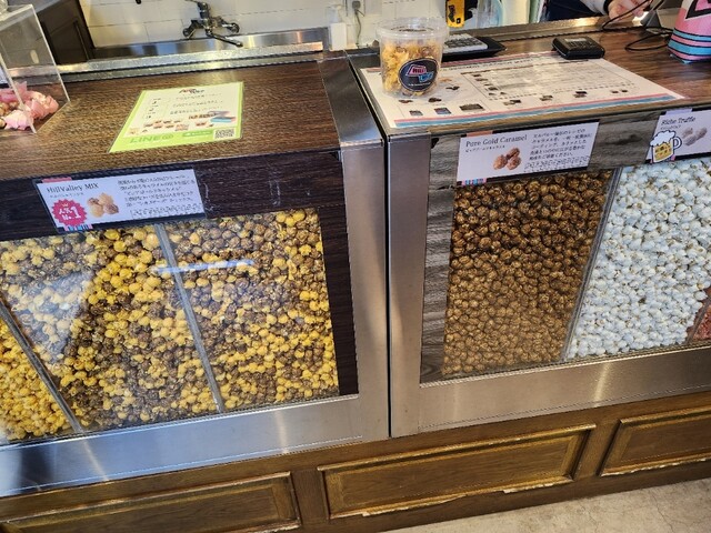 Hill Valley Nakamegurohonten photo 3